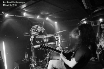 07.07.18_deadkiwis04