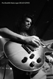 07.07.18_deadkiwis09