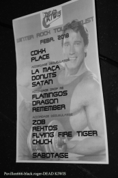 07.07.18_deadkiwis14