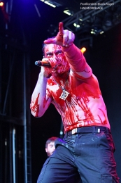 haemorrhage_sylak01-jpg