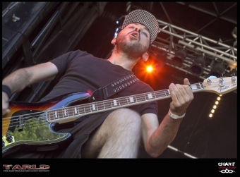 11-08-2013-tarld-02-jpg