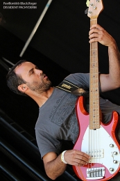 dissidentpachyderm_sylak02-jpg