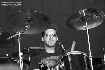 dissidentpachyderm_sylak03-jpg