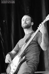 dissidentpachyderm_sylak05-jpg