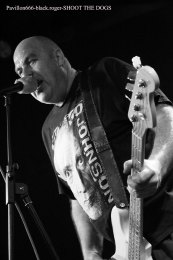 12.02.19_shootthedogs01