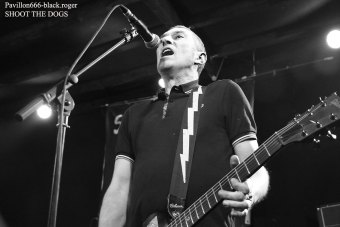 12.02.19_shootthedogs07