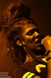 13.03.19_shakaponk17