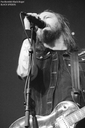 131113_blackspiders01