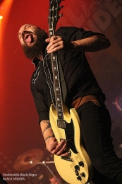 131113_blackspiders08