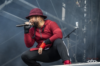 16-06-2018_DownloadFR jour2_(a)WildMightyFreaks_03