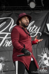 16-06-2018_DownloadFR jour2_(a)WildMightyFreaks_06