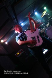 18.09.18_pulsatingcerebralslime02