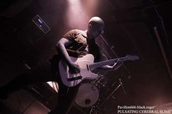 18.09.18_pulsatingcerebralslime07