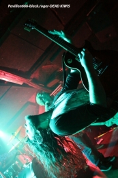 19.01.18_deadkiwis02