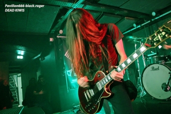 19.01.18_deadkiwis04