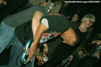 19.01.18_deadkiwis05