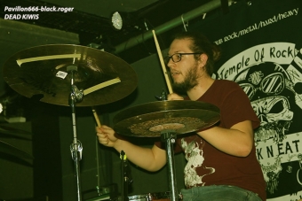 19.01.18_deadkiwis07