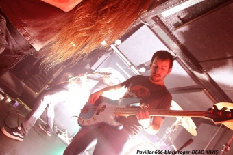 19.01.18_deadkiwis09