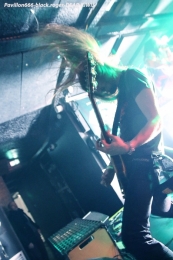 19.01.18_deadkiwis10