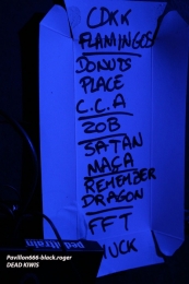 19.01.18_deadkiwis12