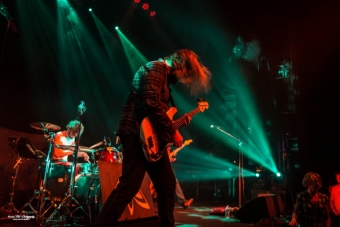 19-04-18 purpulse-01