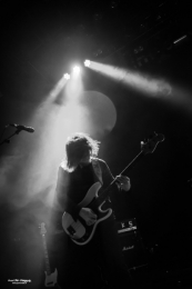 19-04-18 purpulse-03