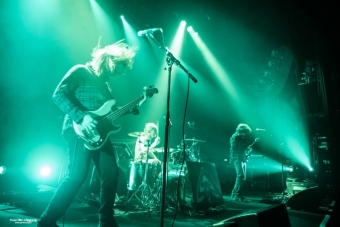 19-04-18 purpulse-11