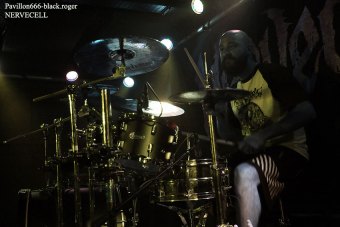 19.07.18_nervecell05