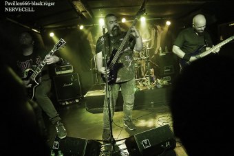 19.07.18_nervecell10