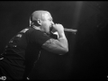 2014-02-28-benighted-lyon-01