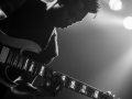 2014.10.22_animalsasleaders_Lyon-8