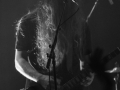 20140202-alcest-dm-09
