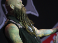 190615_fivefingerdeathpunch_03