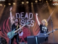 170617_thedeaddaisies_07