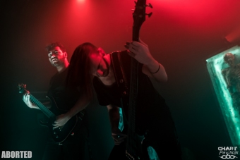 2018.11.11 - ABORTED - CCO-8