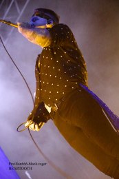 22.01.19_beartooth07