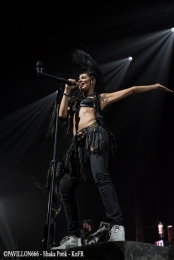 23.03.2018-shakaponk02