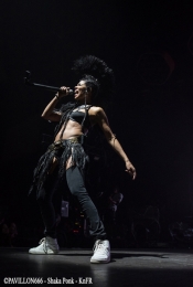 23.03.2018-shakaponk09