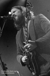 25.02.19_thesheepdogs01