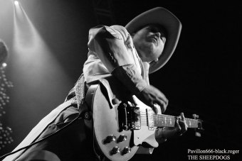 25.02.19_thesheepdogs02