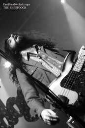 25.02.19_thesheepdogs03