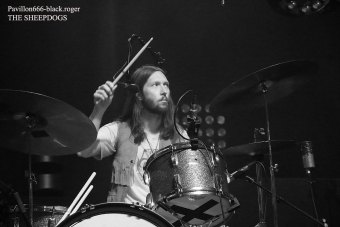 25.02.19_thesheepdogs04