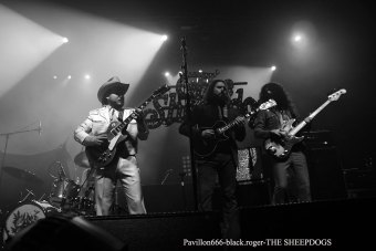 25.02.19_thesheepdogs05