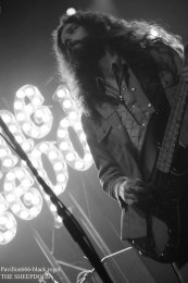 25.02.19_thesheepdogs06