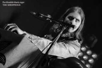 25.02.19_thesheepdogs07