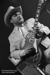 25.02.19_thesheepdogs08