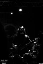 25.03.2018-01avelion04