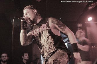 25.07.18_ingested08