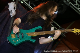 27.05.18_embrioniccells03