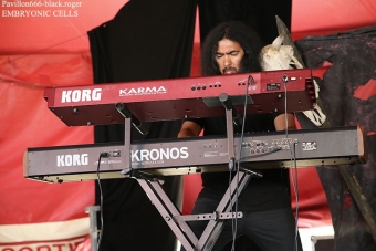 27.05.18_embrioniccells04